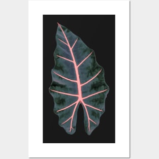 PixDezines Watercolor Dark Blue Pink Spine Caladium Posters and Art